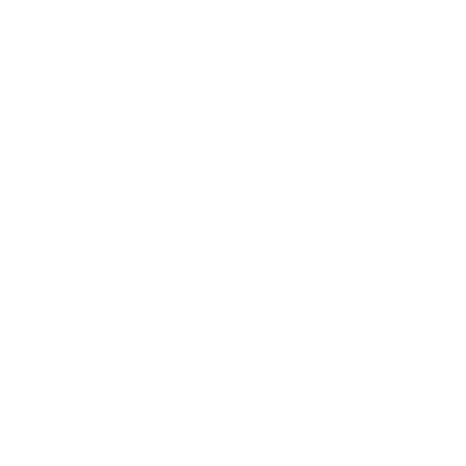 Budget management icon