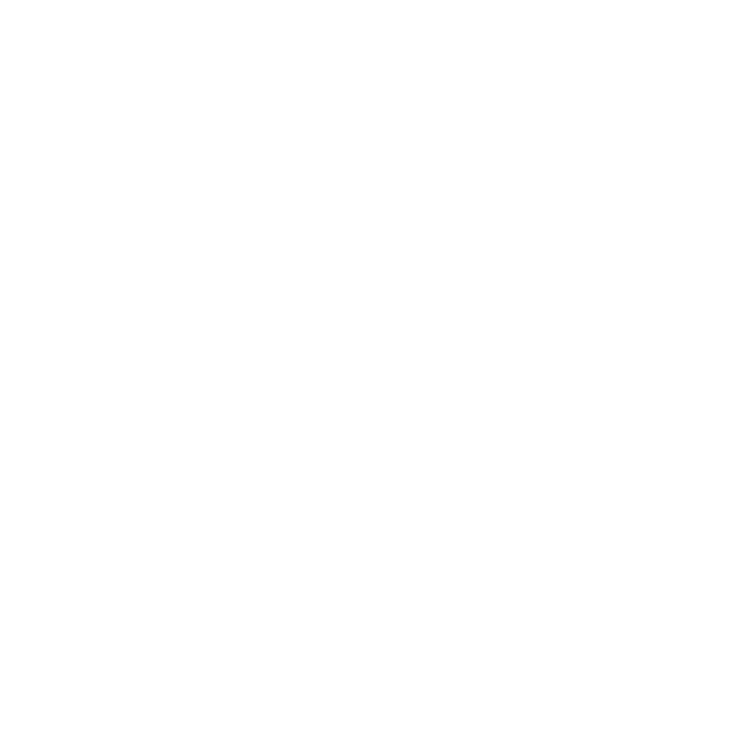 Budget control icon
