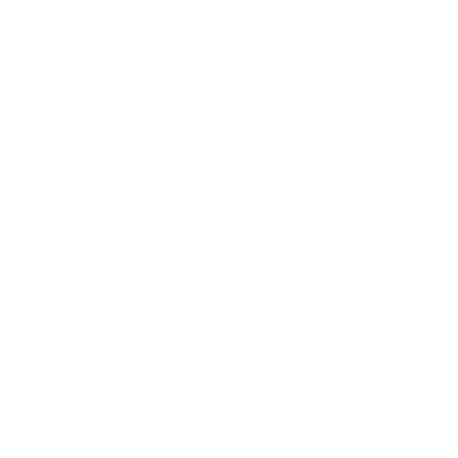 Complete visibility icon
